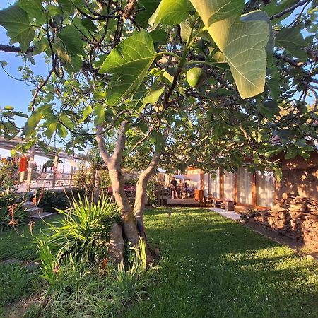 Pilgrims Rest - Vila Nova De Cerveira - Hostel - Albergue - Al Extérieur photo