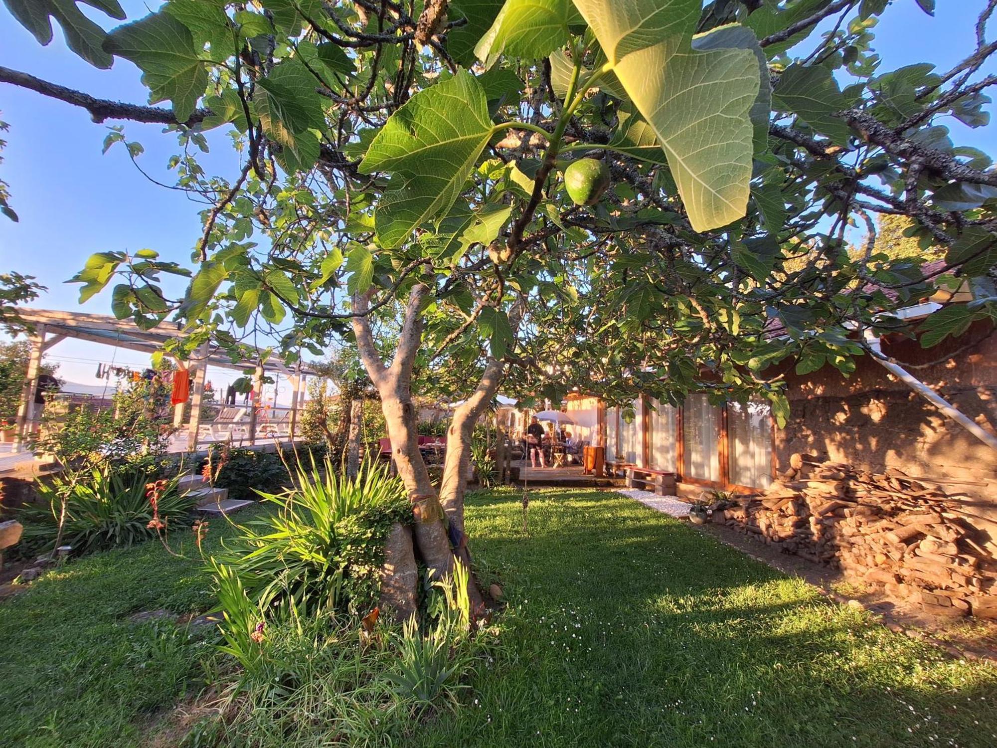 Pilgrims Rest - Vila Nova De Cerveira - Hostel - Albergue - Al Extérieur photo